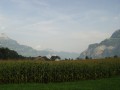 Picture 026
